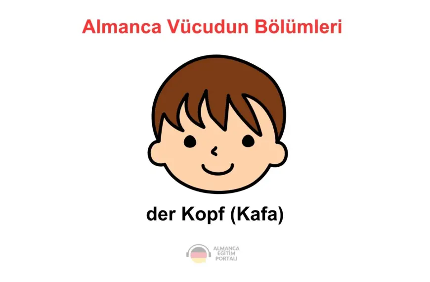 Almanca Vücudun Bölümleri