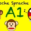 Almanca A1 Konuları