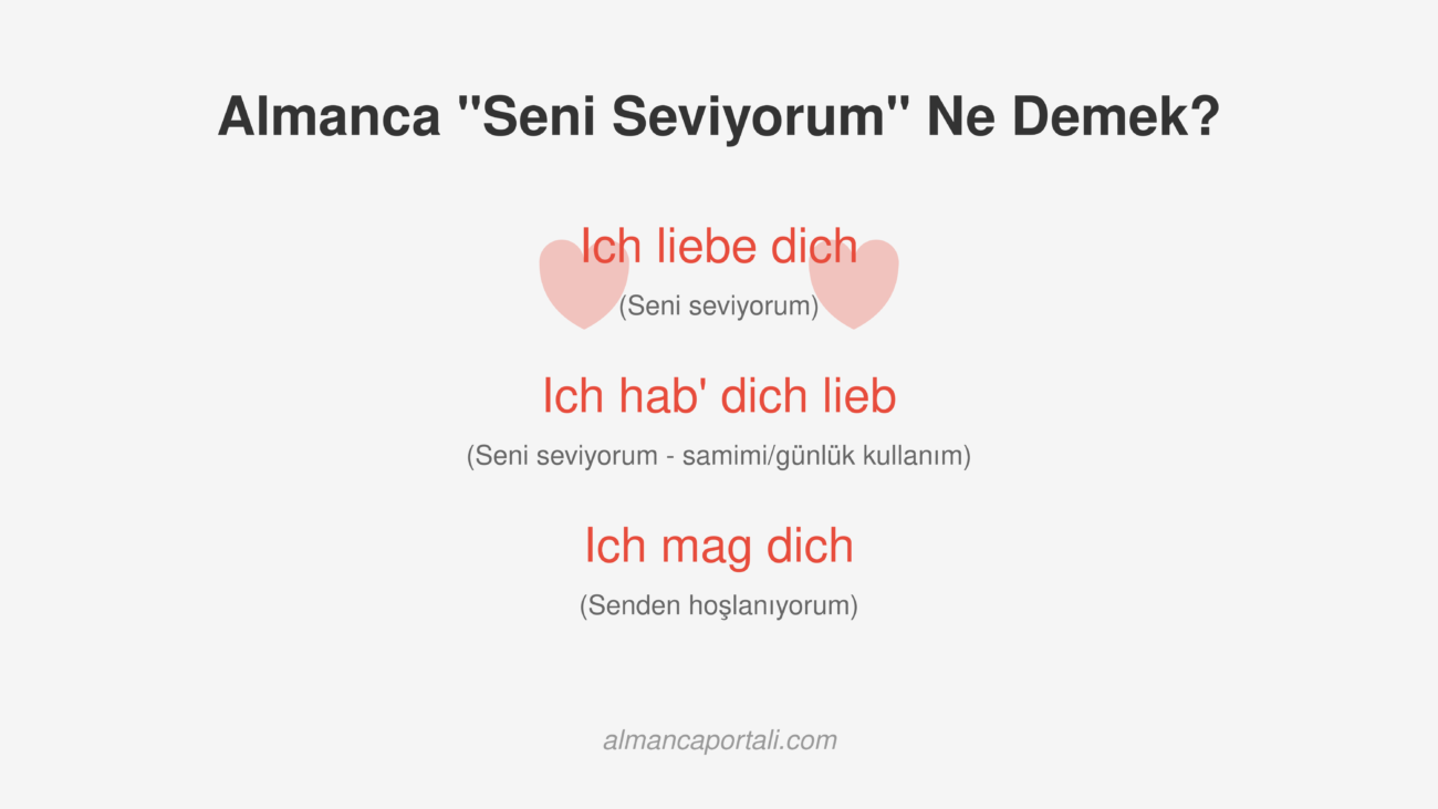 Almanca Seni Seviyorum Ne Demek