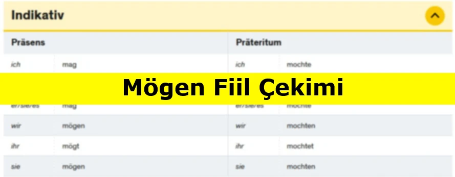 Mögen Fiil Çekimi