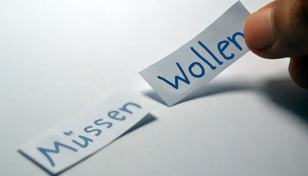 Almanca Müssen Örnek Cümleler